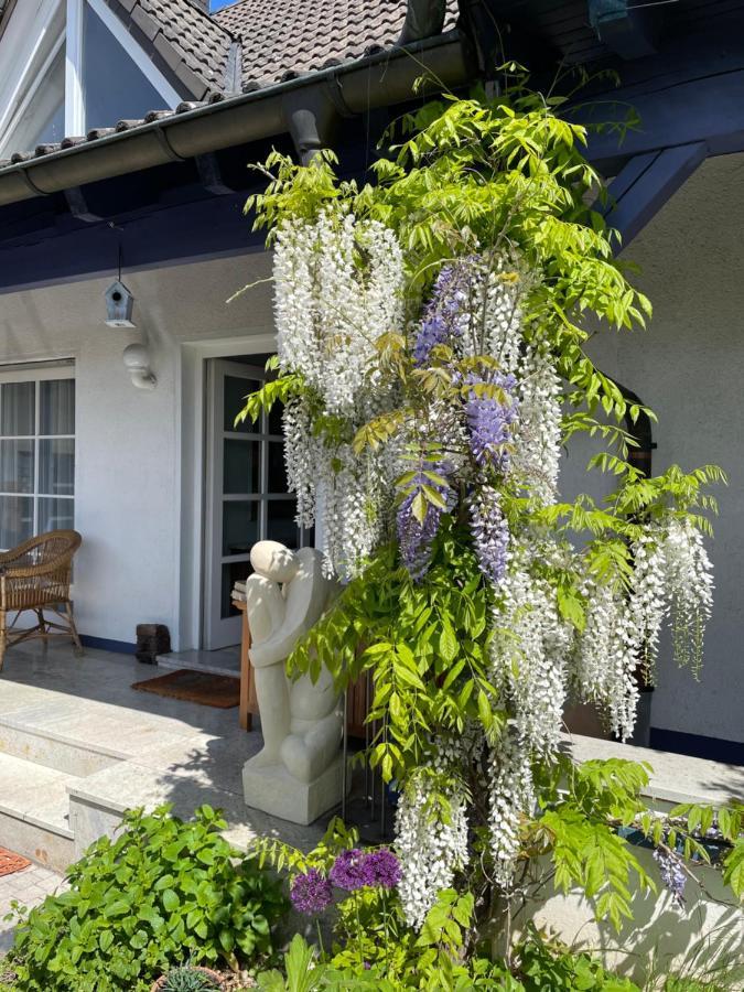 Gaensebluemchen 2 Apartment Daisy 2 Walsdorf (Bavaria) Exterior foto